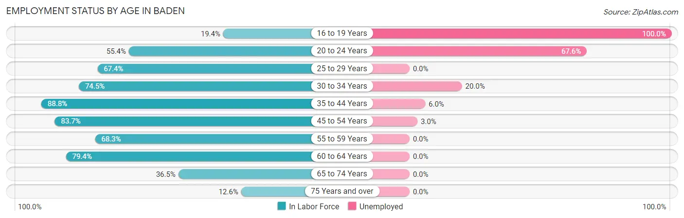 Employment Status by Age in Baden