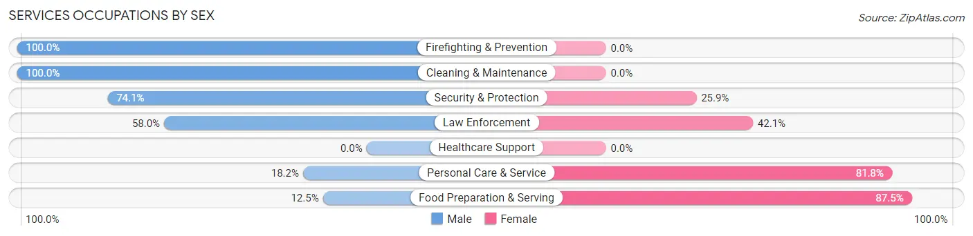 Services Occupations by Sex in Baden