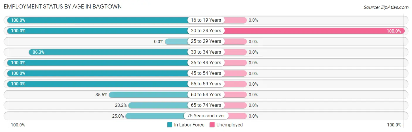 Employment Status by Age in Bagtown