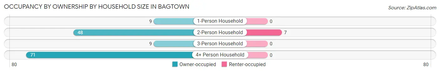 Occupancy by Ownership by Household Size in Bagtown