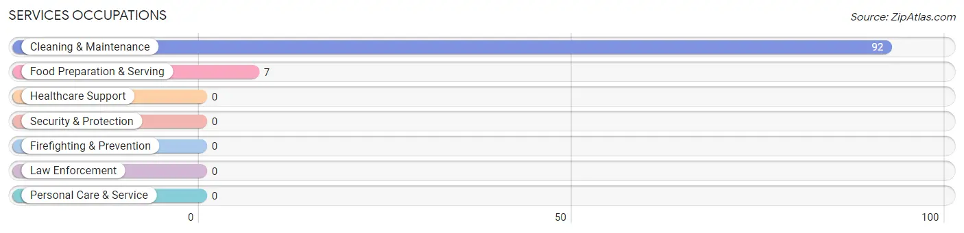 Services Occupations in Bagtown