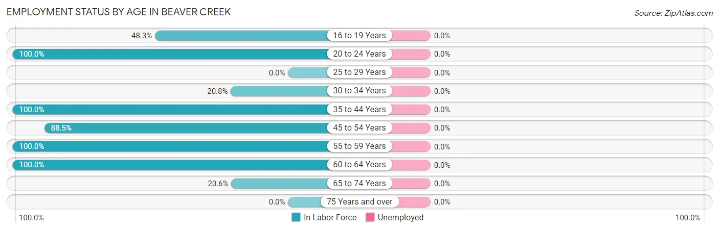 Employment Status by Age in Beaver Creek