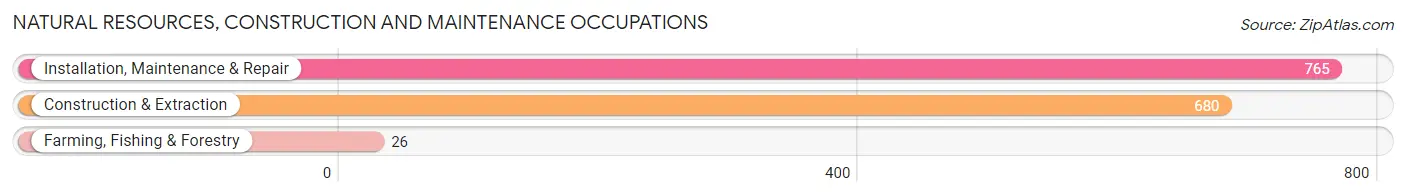 Natural Resources, Construction and Maintenance Occupations in Bel Air South