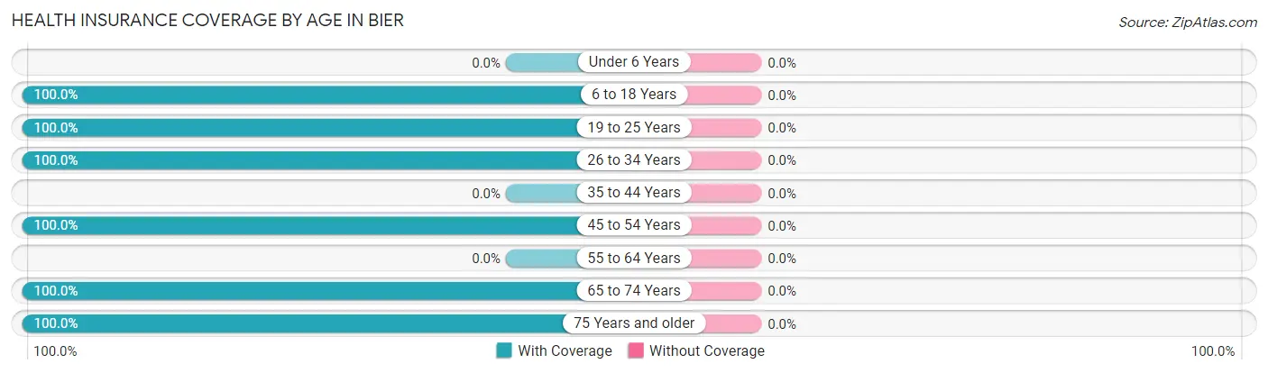 Health Insurance Coverage by Age in Bier