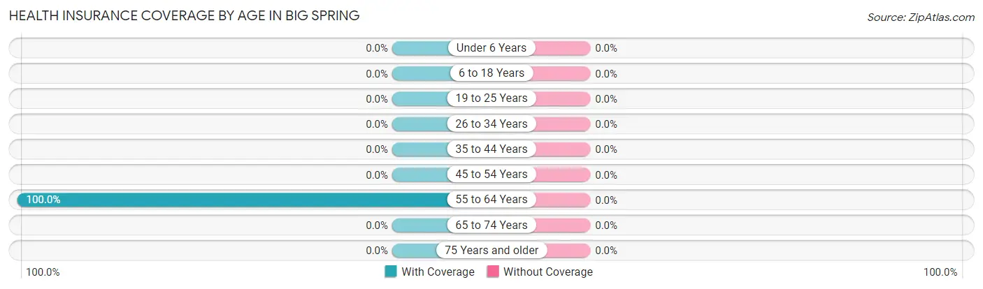 Health Insurance Coverage by Age in Big Spring
