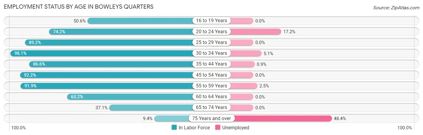 Employment Status by Age in Bowleys Quarters