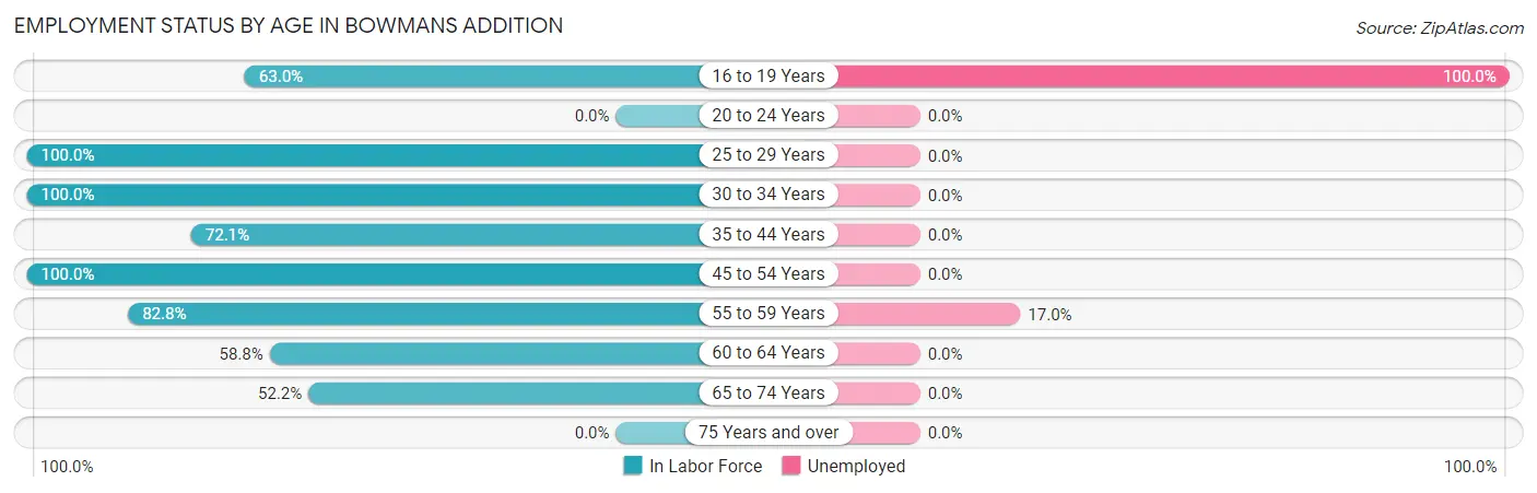 Employment Status by Age in Bowmans Addition