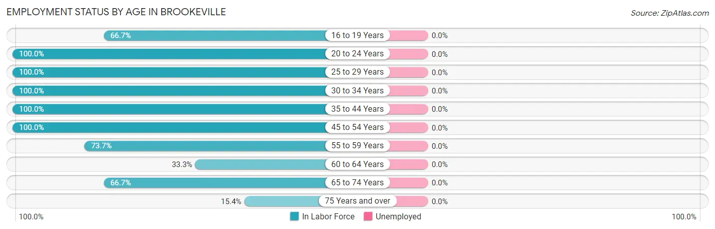 Employment Status by Age in Brookeville