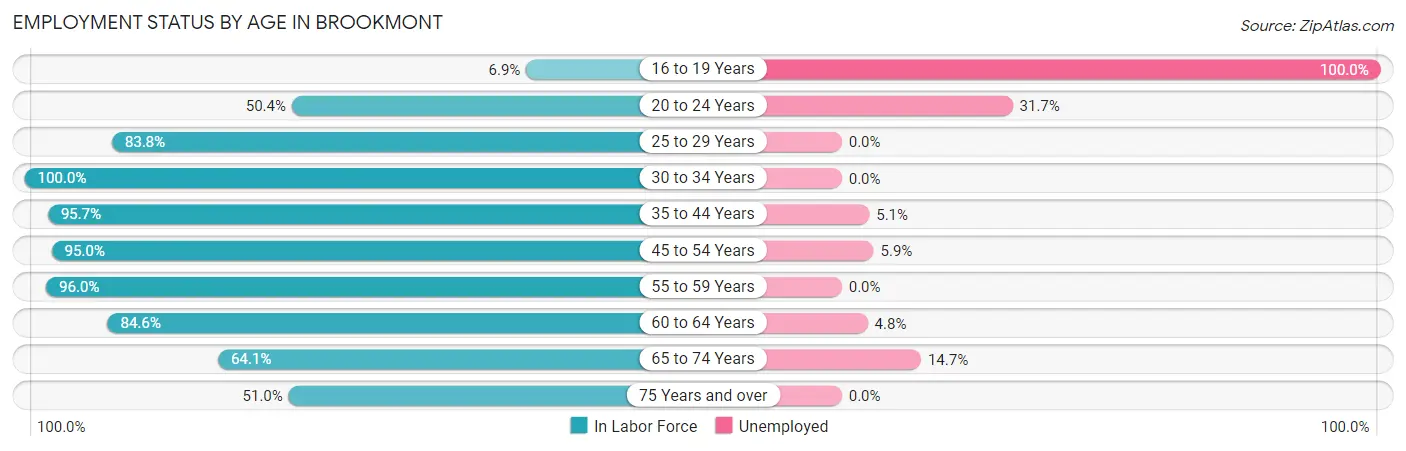 Employment Status by Age in Brookmont