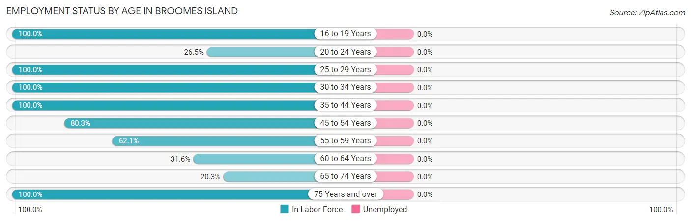 Employment Status by Age in Broomes Island