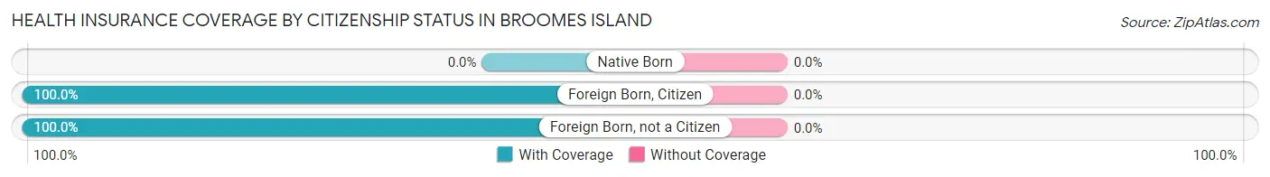 Health Insurance Coverage by Citizenship Status in Broomes Island