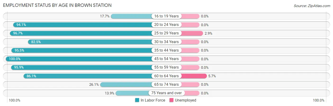 Employment Status by Age in Brown Station