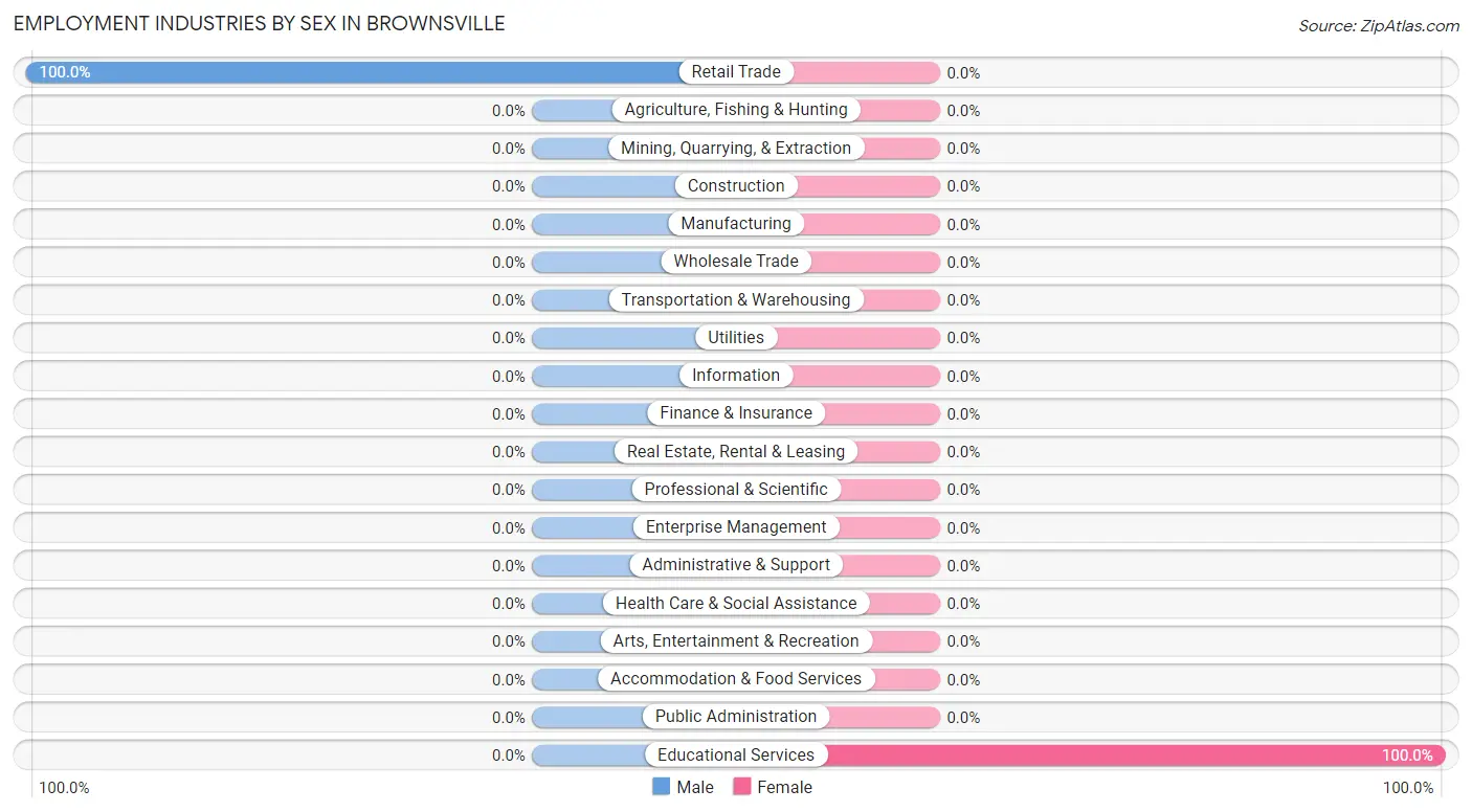 Employment Industries by Sex in Brownsville