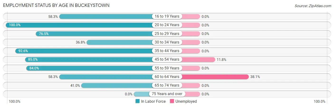 Employment Status by Age in Buckeystown