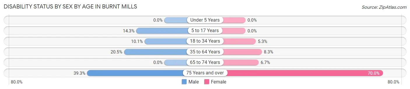 Disability Status by Sex by Age in Burnt Mills