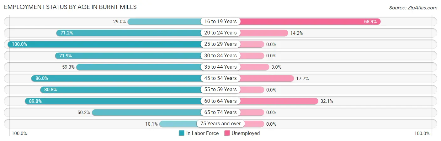 Employment Status by Age in Burnt Mills