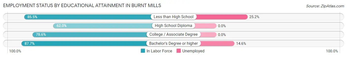 Employment Status by Educational Attainment in Burnt Mills