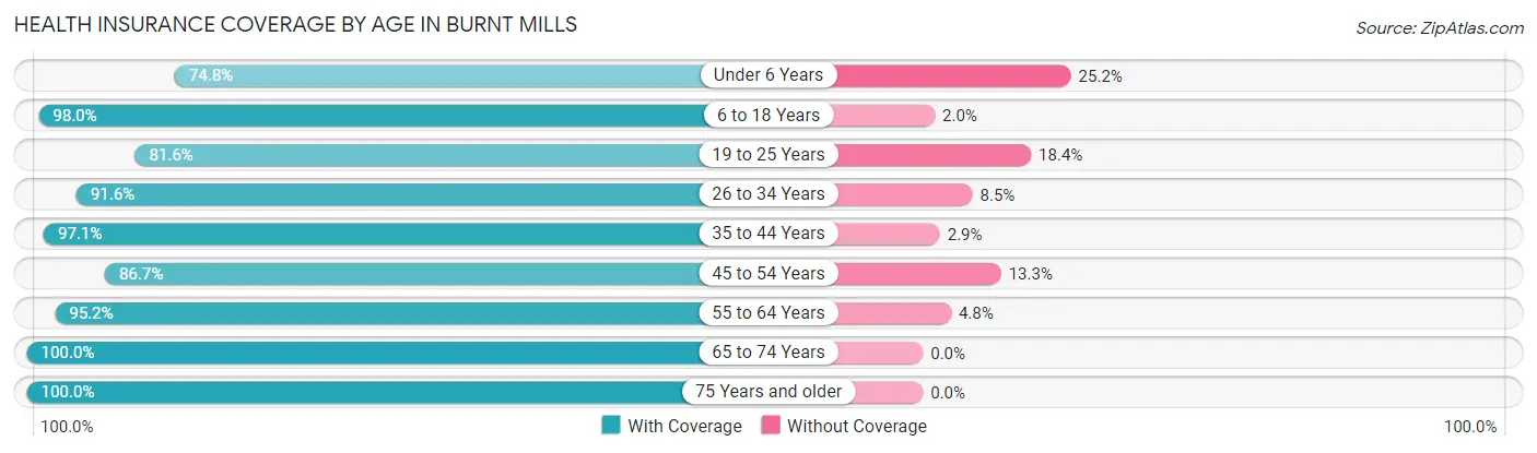 Health Insurance Coverage by Age in Burnt Mills