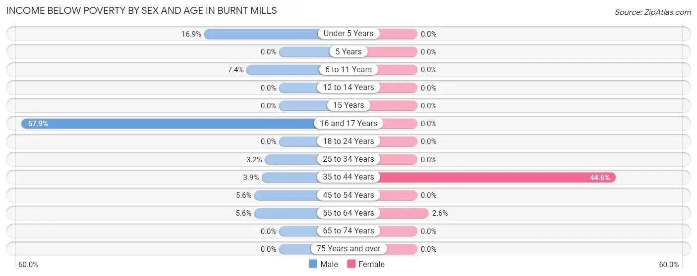 Income Below Poverty by Sex and Age in Burnt Mills