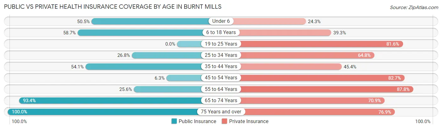 Public vs Private Health Insurance Coverage by Age in Burnt Mills