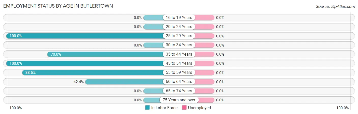 Employment Status by Age in Butlertown