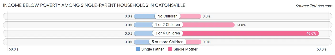 Income Below Poverty Among Single-Parent Households in Catonsville