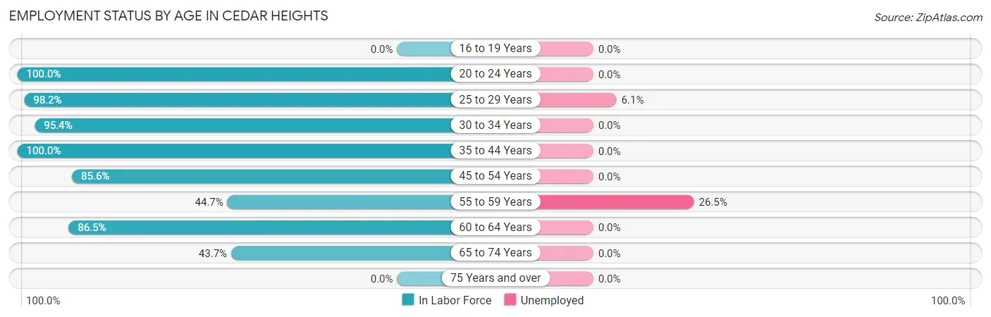 Employment Status by Age in Cedar Heights