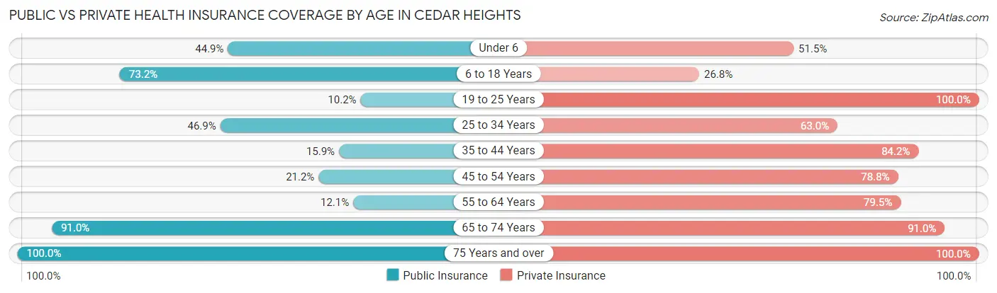 Public vs Private Health Insurance Coverage by Age in Cedar Heights