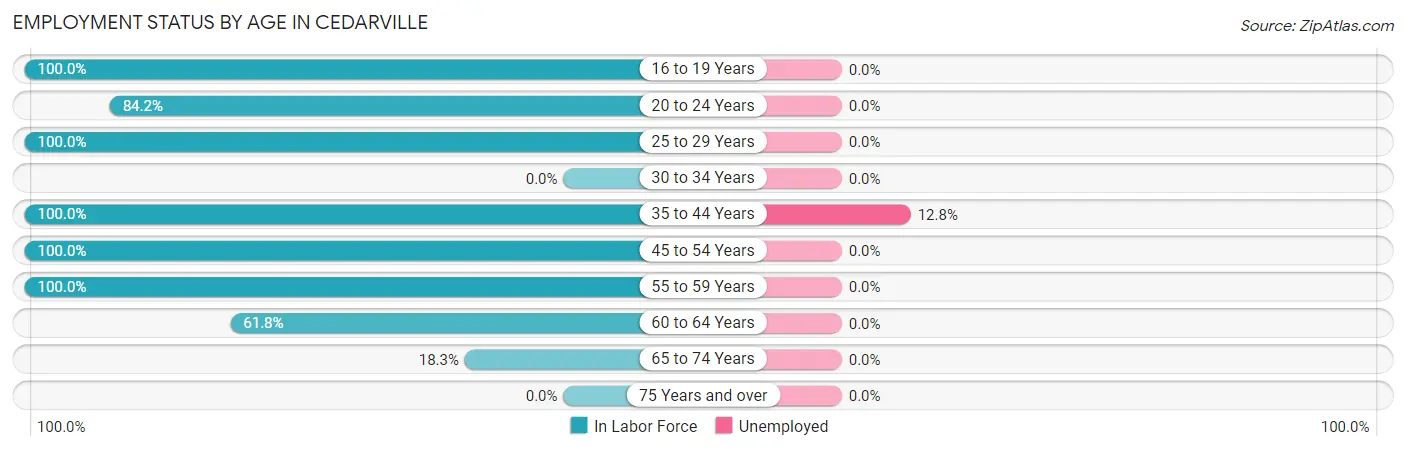 Employment Status by Age in Cedarville