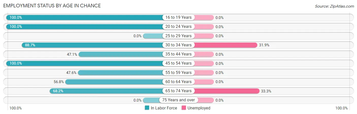 Employment Status by Age in Chance