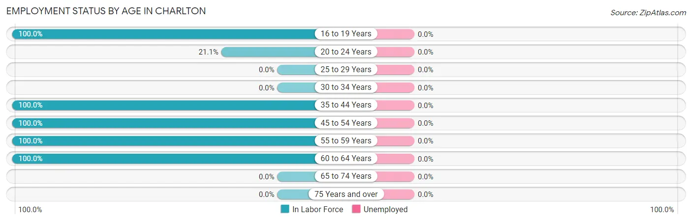 Employment Status by Age in Charlton
