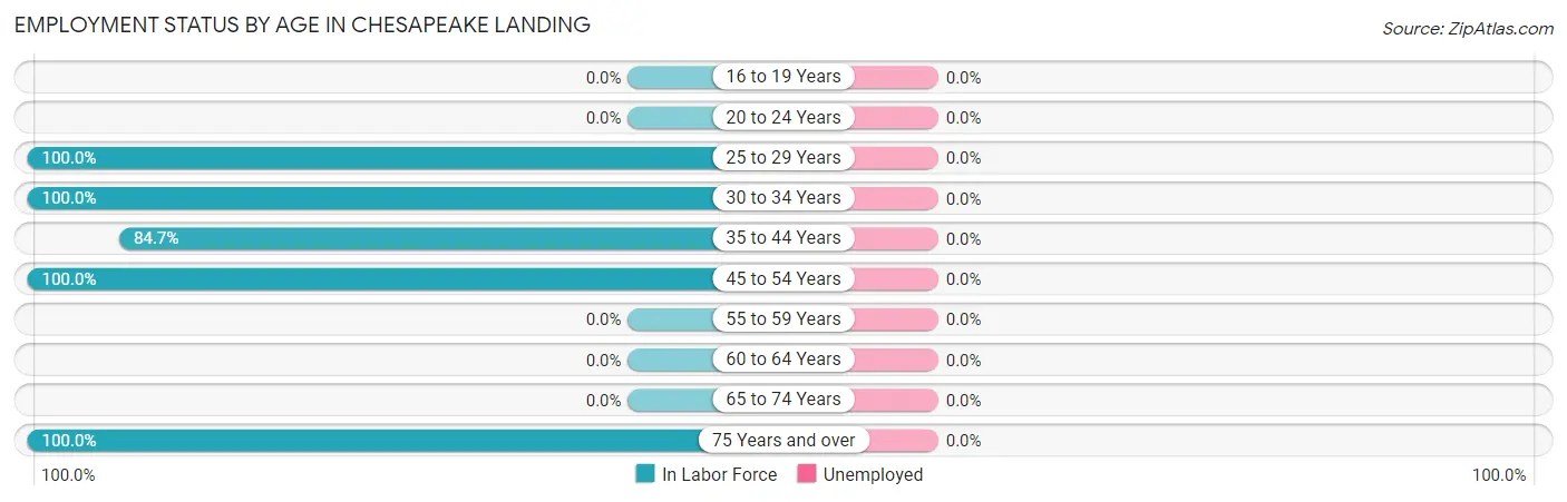 Employment Status by Age in Chesapeake Landing