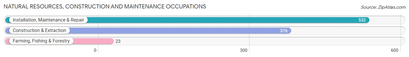 Natural Resources, Construction and Maintenance Occupations in Chesapeake Ranch Estates