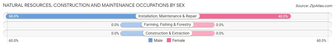 Natural Resources, Construction and Maintenance Occupations by Sex in Chevy Chase Section Five