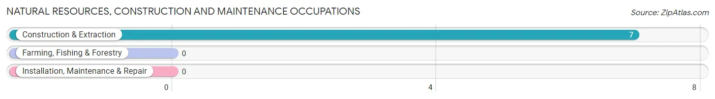 Natural Resources, Construction and Maintenance Occupations in Chevy Chase Village