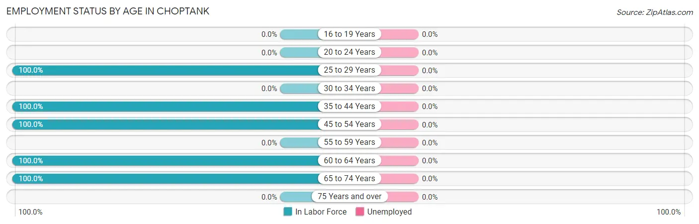 Employment Status by Age in Choptank