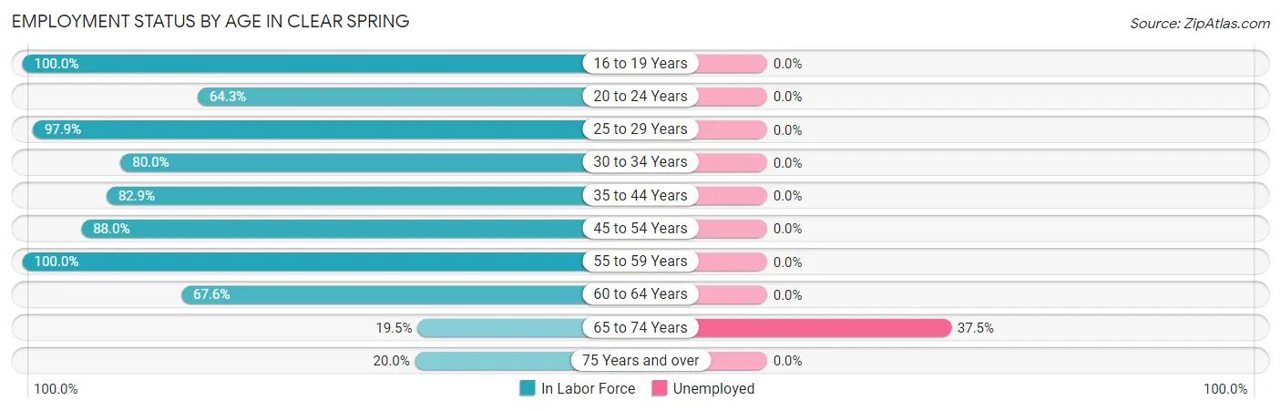 Employment Status by Age in Clear Spring