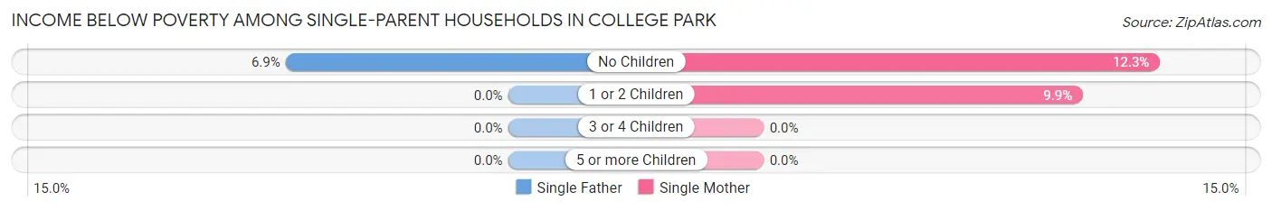 Income Below Poverty Among Single-Parent Households in College Park