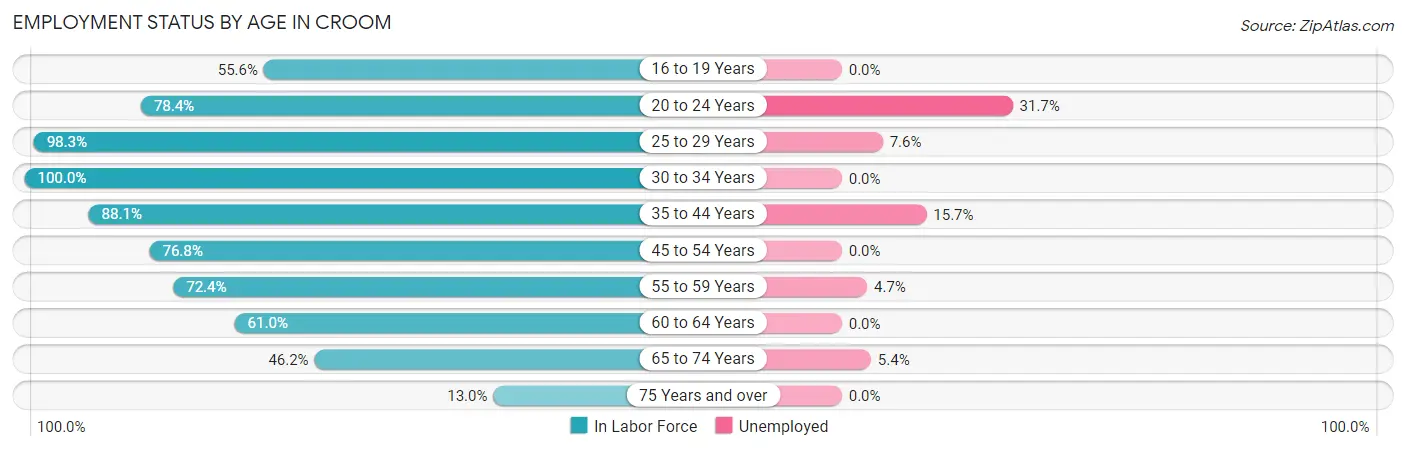 Employment Status by Age in Croom
