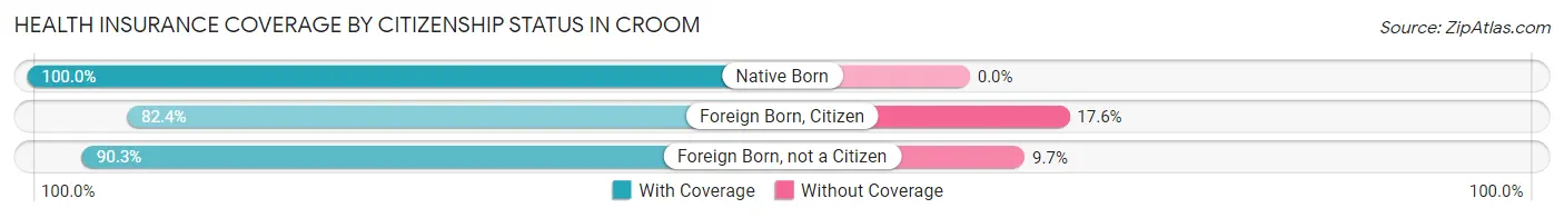 Health Insurance Coverage by Citizenship Status in Croom