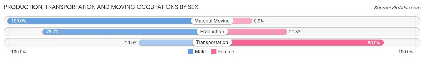 Production, Transportation and Moving Occupations by Sex in Croom