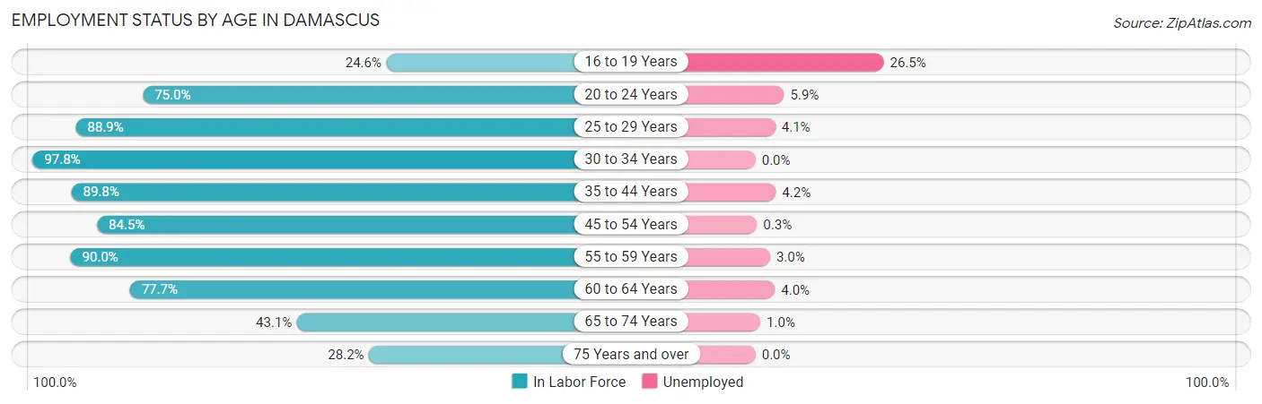 Employment Status by Age in Damascus