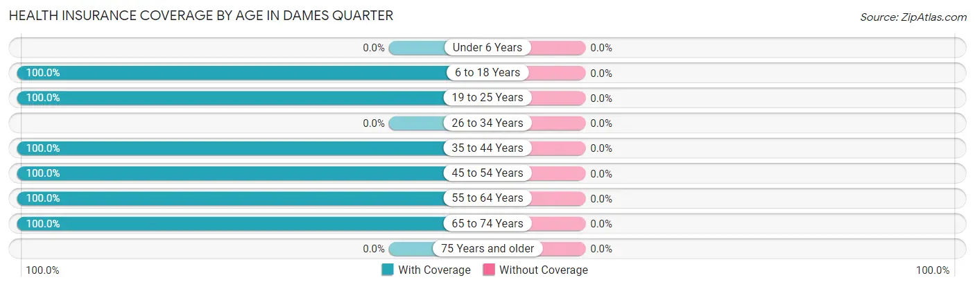 Health Insurance Coverage by Age in Dames Quarter