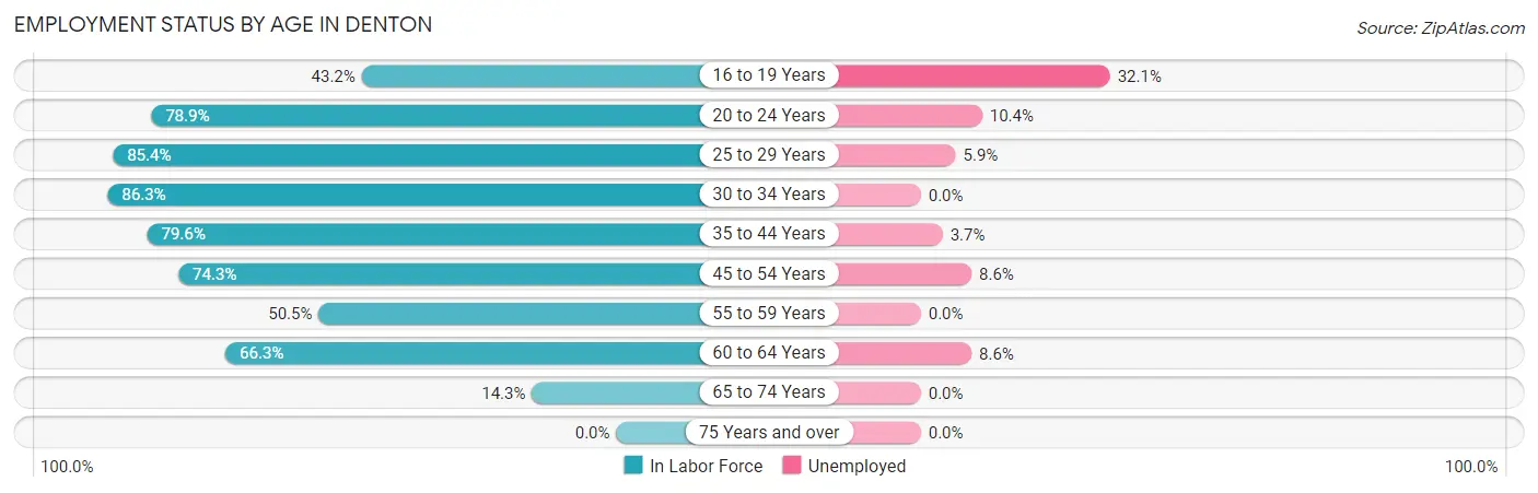 Employment Status by Age in Denton