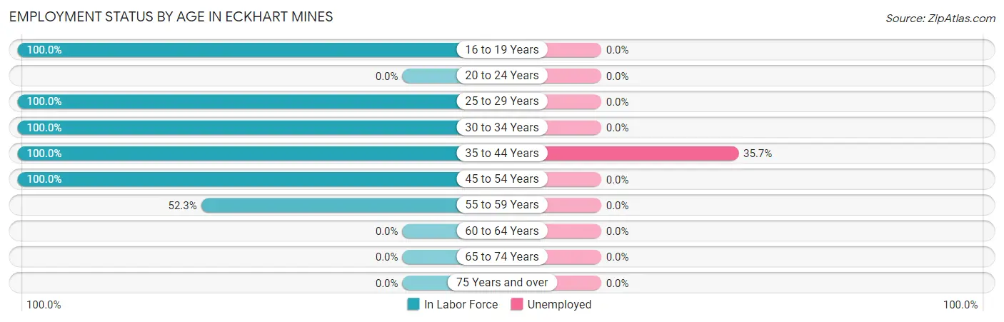 Employment Status by Age in Eckhart Mines