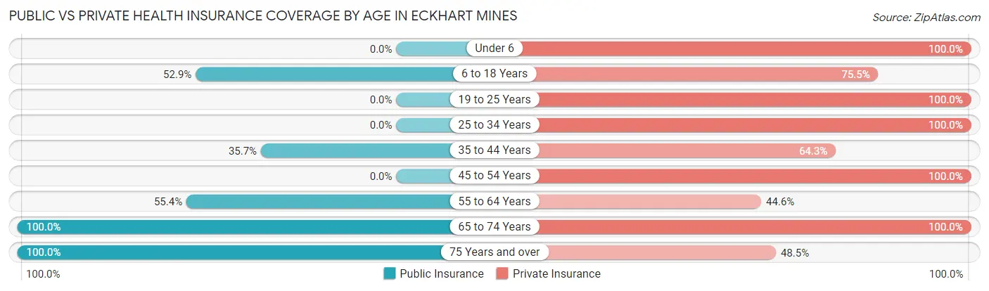 Public vs Private Health Insurance Coverage by Age in Eckhart Mines