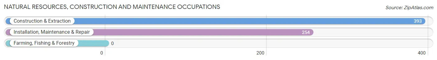 Natural Resources, Construction and Maintenance Occupations in Edgewater