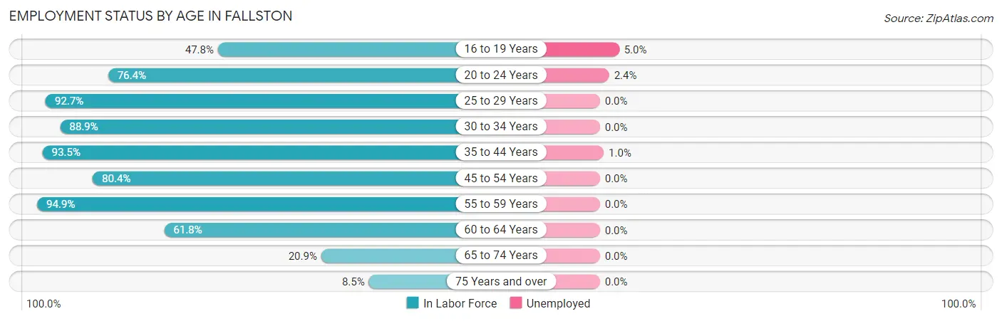 Employment Status by Age in Fallston