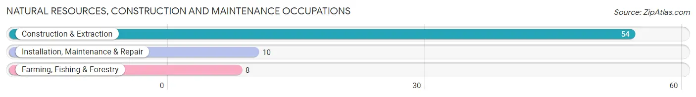 Natural Resources, Construction and Maintenance Occupations in Federalsburg