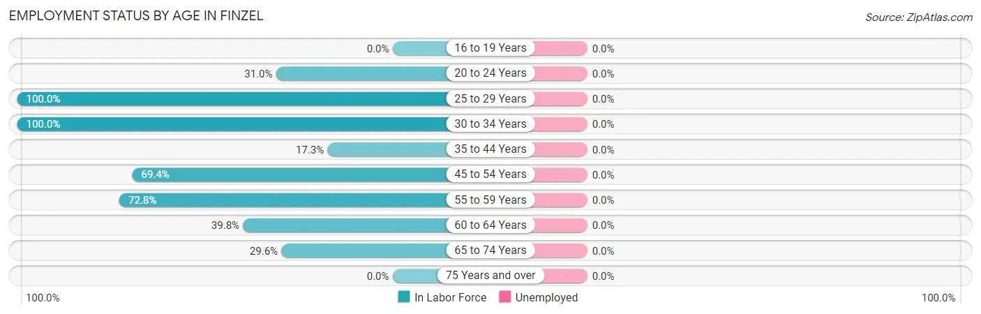 Employment Status by Age in Finzel